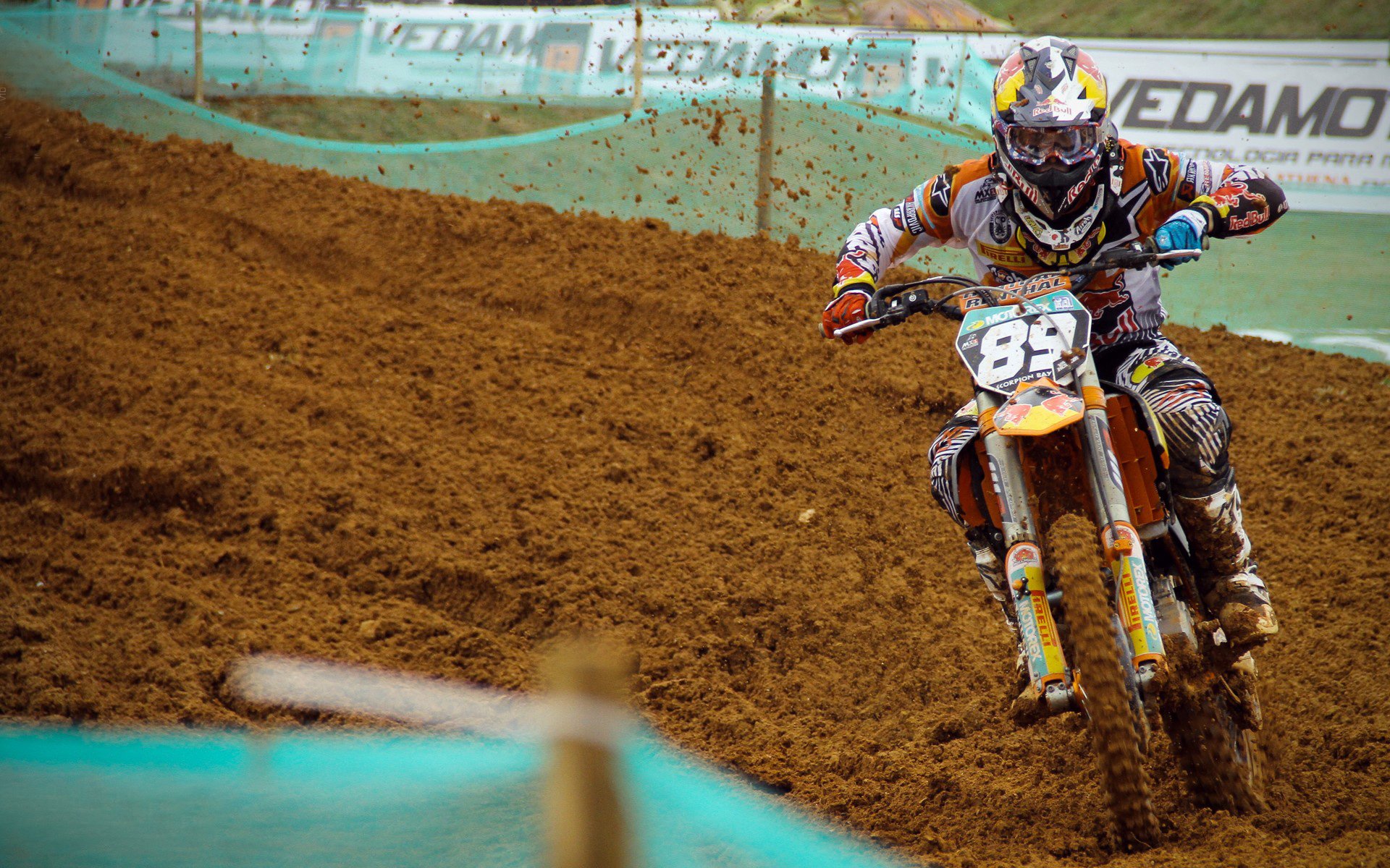 比利时马术协会与非洲马术协会开展技术援助项目，提升当地水平。