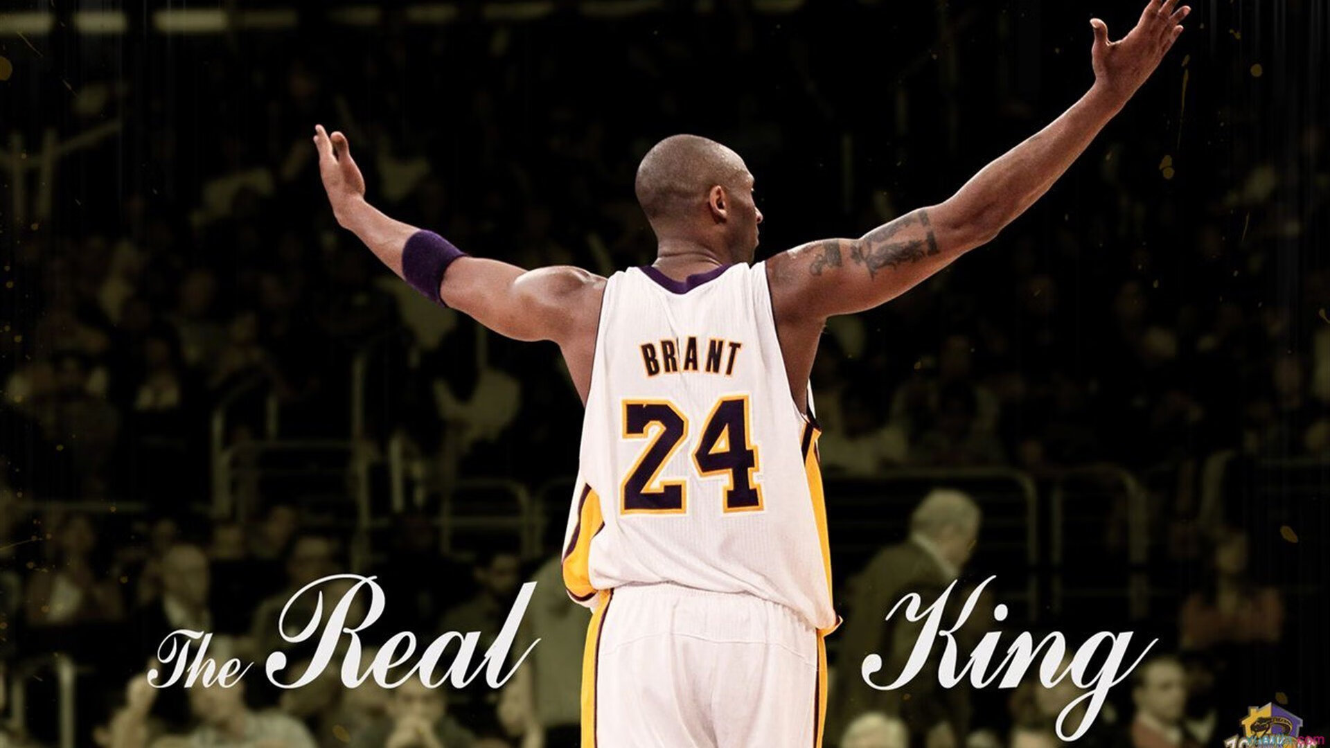 NBA球员职业规划指导策略,nba球员职业规划指导策略有哪些