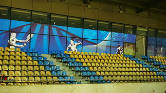 九游网游官网-高校体育赛事安全管理体系构建，学校体育赛事体系